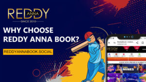 Read more about the article Why Choose Reddy Anna Book?
