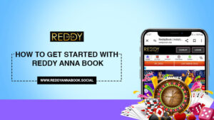 Read more about the article How to Get Started with Reddy Anna Book