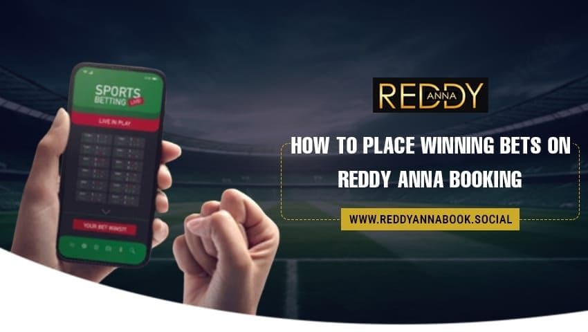 You are currently viewing How to Place Winning Bets on Reddy Anna Booking