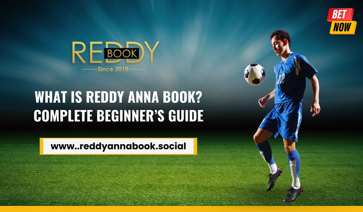 You are currently viewing What is Reddy Anna Book? Complete Beginner’s Guide