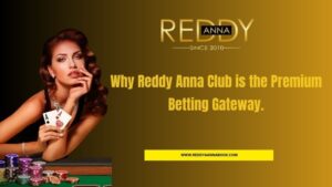 Read more about the article Why Reddy Ann Club Is the Gateway to Premium Betting