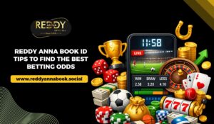Reddy Anna Book ID Tips to Find the Best Betting Odds