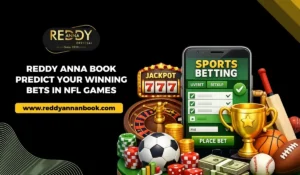 NFL Betting Prediction Tips on Reddy Anna Book